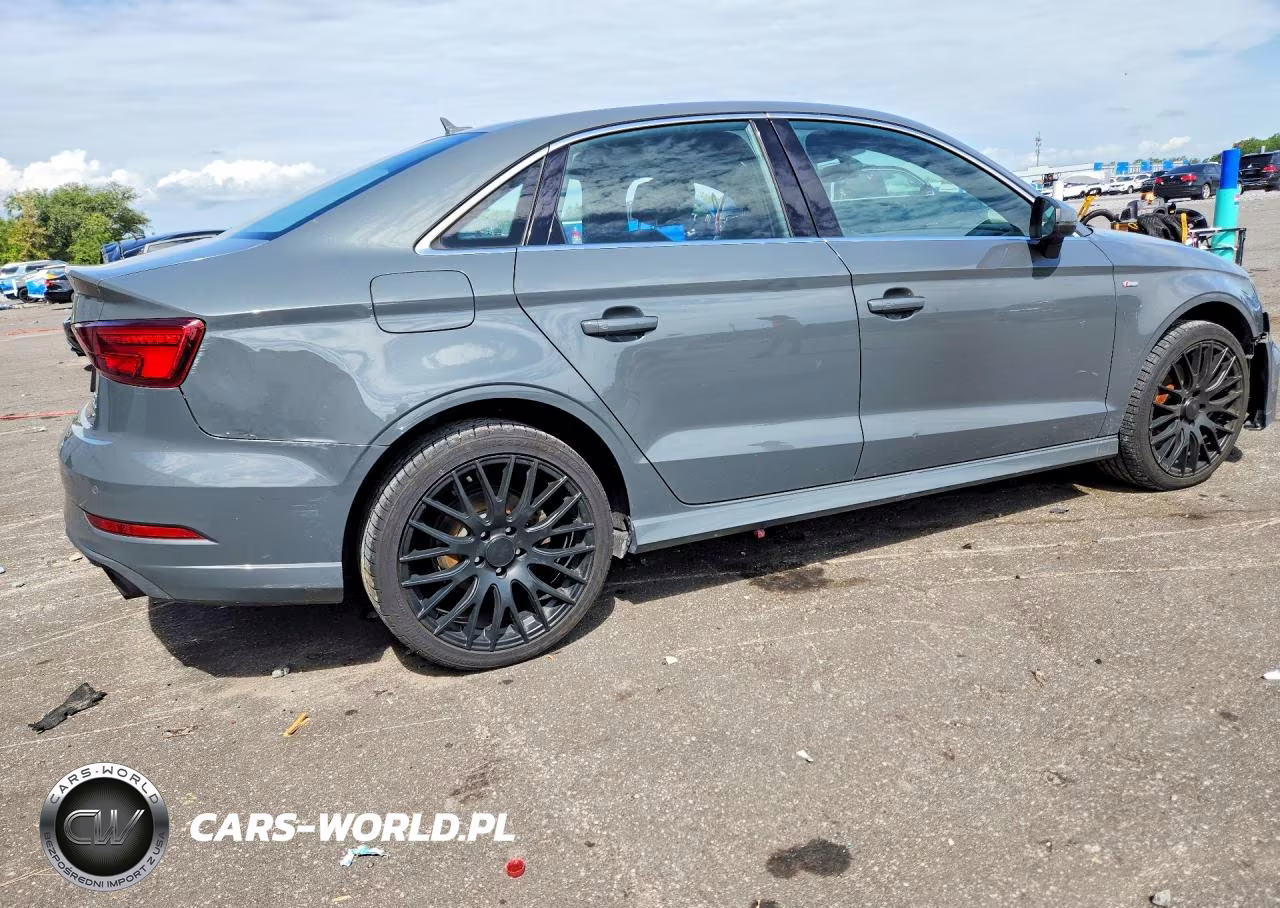 2017 Audi A3 Premium Plus VIN:WAUJ8GFF3H1067244 - 3
