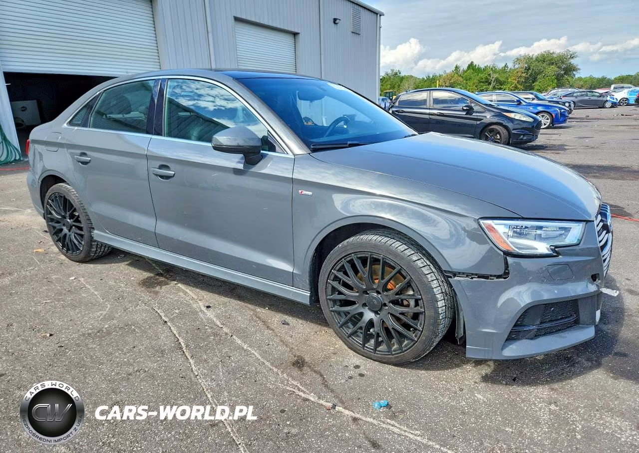 2017 Audi A3 Premium Plus VIN:WAUJ8GFF3H1067244 - 4