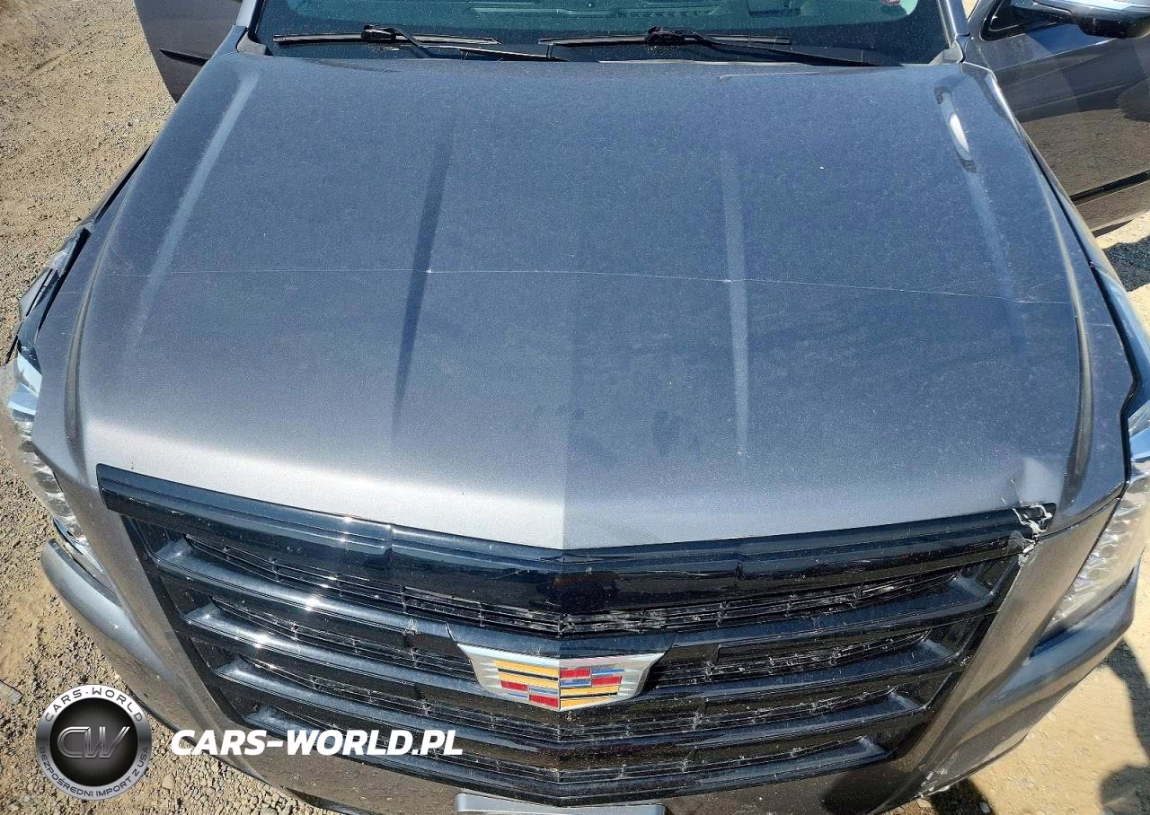 2020 Cadillac Escalade Esv Luxury VIN:1GYS4HKJ2LR228268 - 12