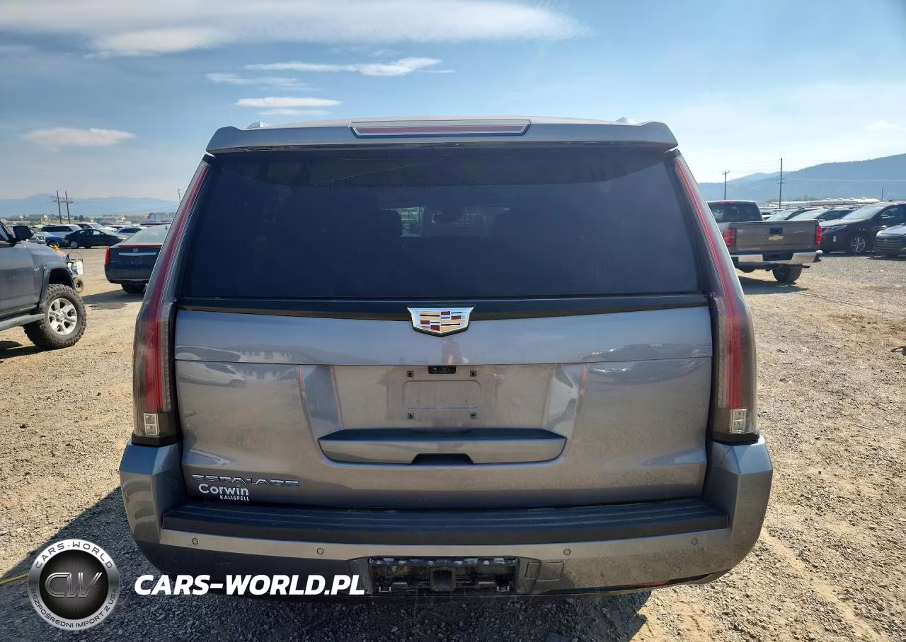 2020 Cadillac Escalade Esv Luxury VIN:1GYS4HKJ2LR228268 - 6
