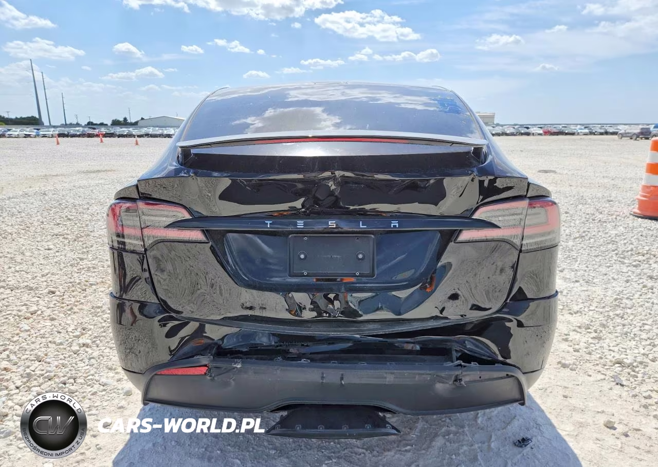 2023 Tesla Model X VIN:7SAXCDE5XPF410160 - 6