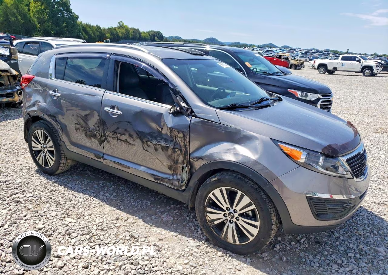2016 Kia Sportage Ex VIN:KNDPC3AC4G7874921 - 4