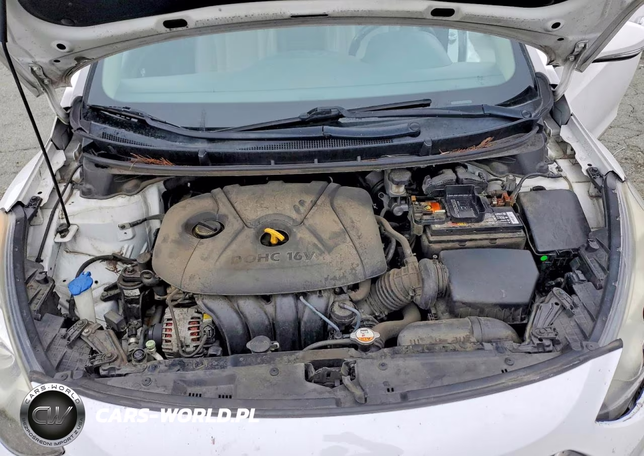 2013 Hyundai Elantra Gt Base VIN:KMHD35LE8DU127411 - 11