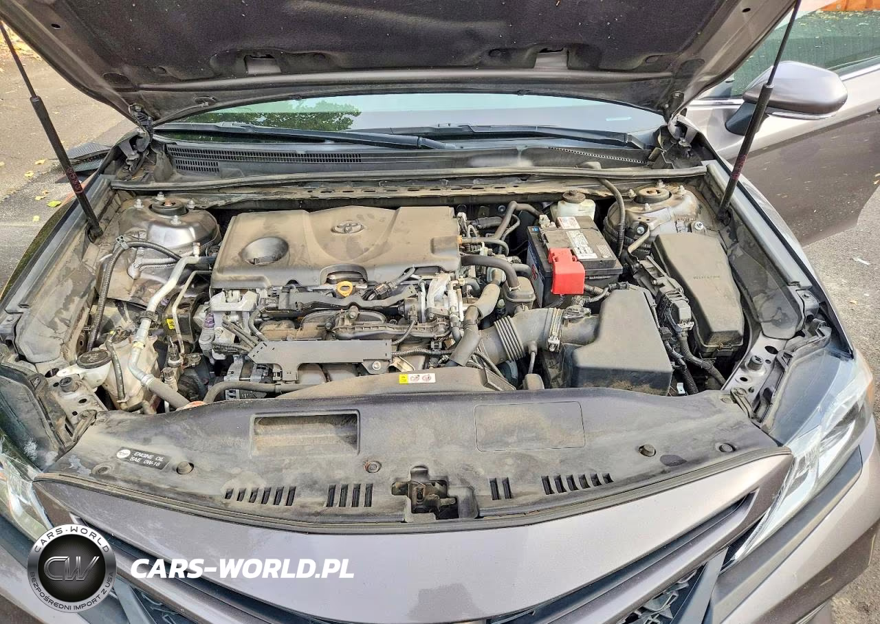 2020 Toyota Camry Se VIN:4T1M11AK6LU318928 - 11