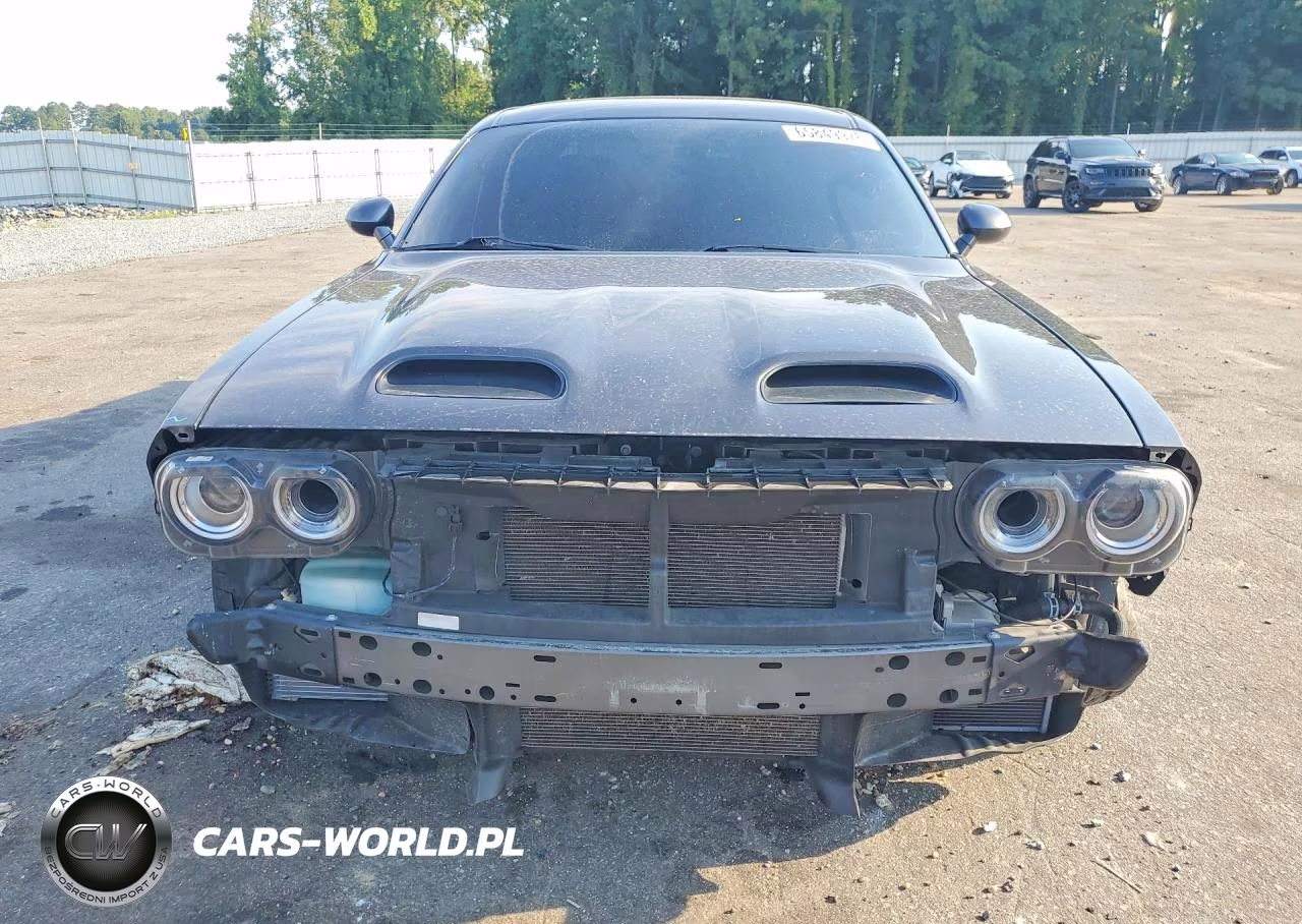 2019 Dodge Challenger Srt Hellcat VIN:2C3CDZC96KH741630 - 5