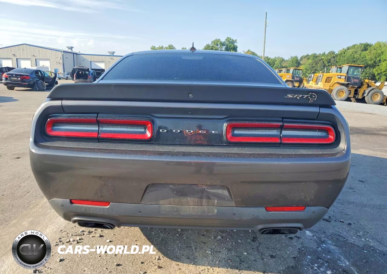 2019 Dodge Challenger Srt Hellcat VIN:2C3CDZC96KH741630 - 6