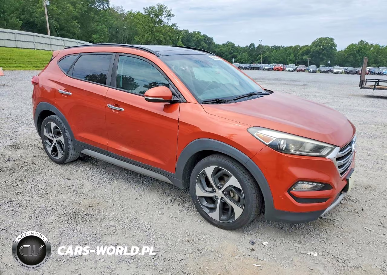 2017 Hyundai Tucson Limited VIN:KM8J33A20HU345056 - 4