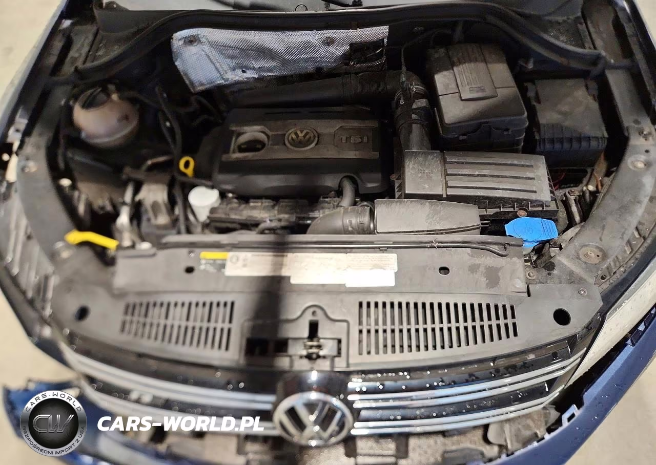 2016 Volkswagen Tiguan S VIN:WVGBV7AX9GW617432 - 12