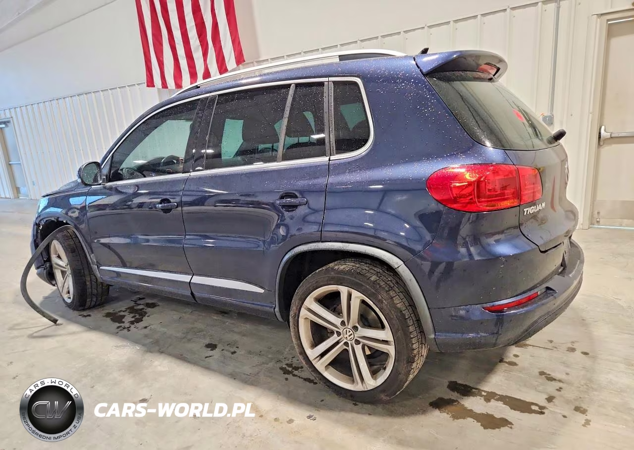 2016 Volkswagen Tiguan S VIN:WVGBV7AX9GW617432 - 2