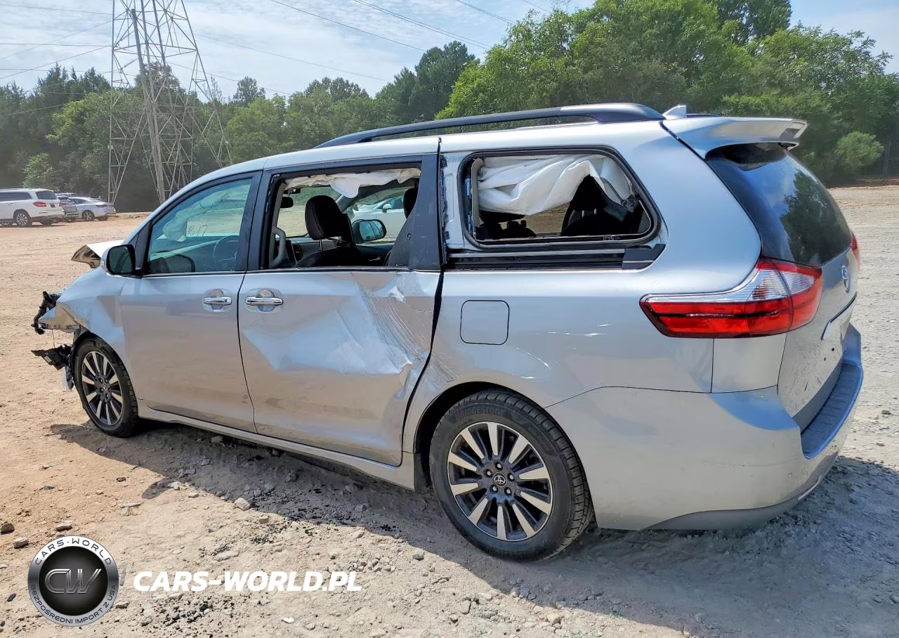 2019 Toyota Sienna Limited Premium 7-Passenger VIN:5TDYZ3DC7KS999652 - 2