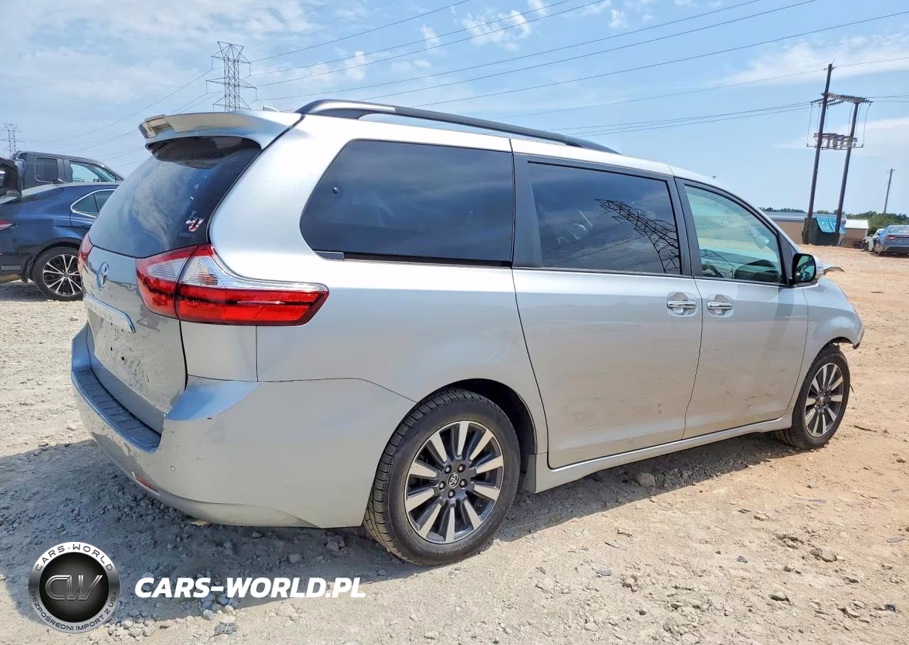 2019 Toyota Sienna Limited Premium 7-Passenger VIN:5TDYZ3DC7KS999652 - 3
