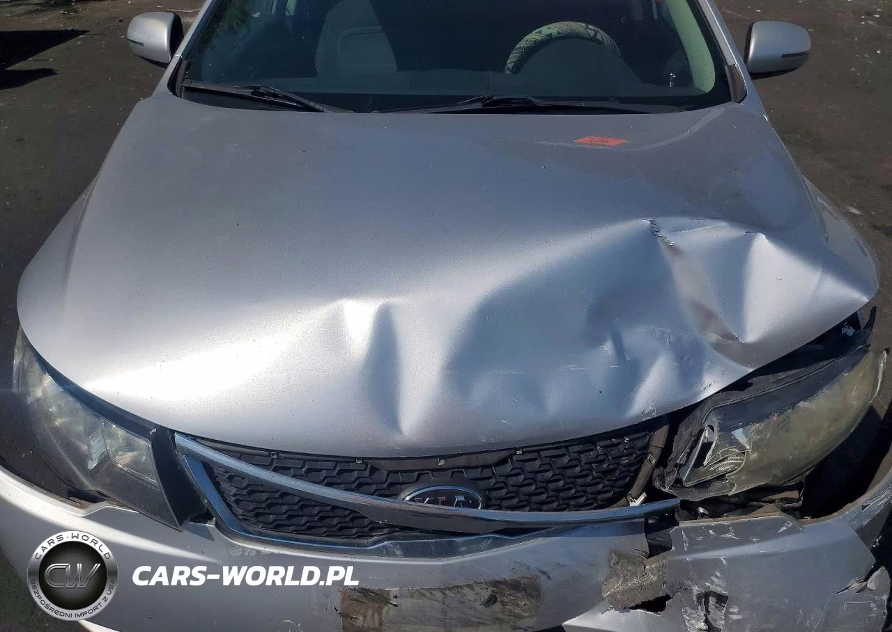 2013 Kia Forte5 Ex VIN:KNAFU5A28D5681798 - 11