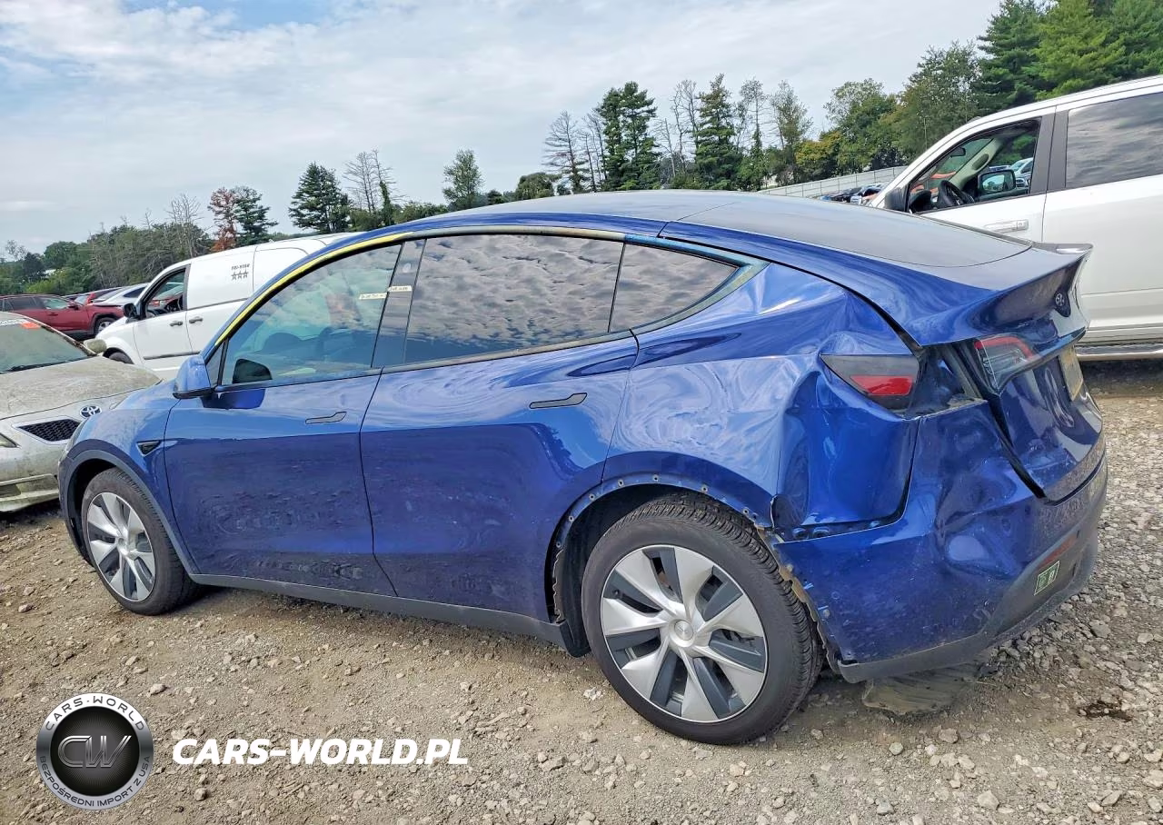 2022 Tesla Model Y VIN:7SAYGDEE4NF458310 - 2