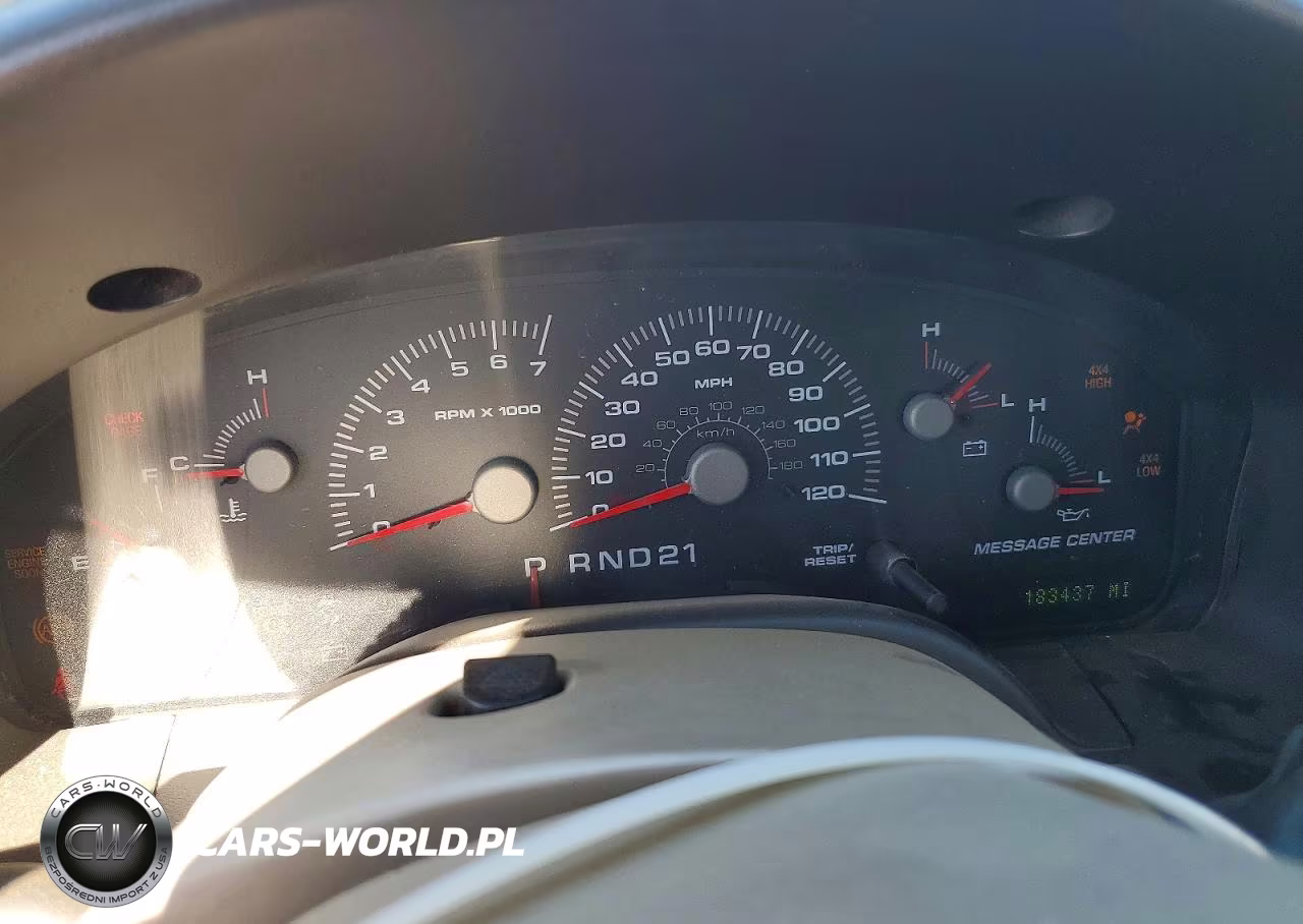 2004 Ford Expedition Eddie Bauer VIN:1FMFU18L54LB32822 - 9