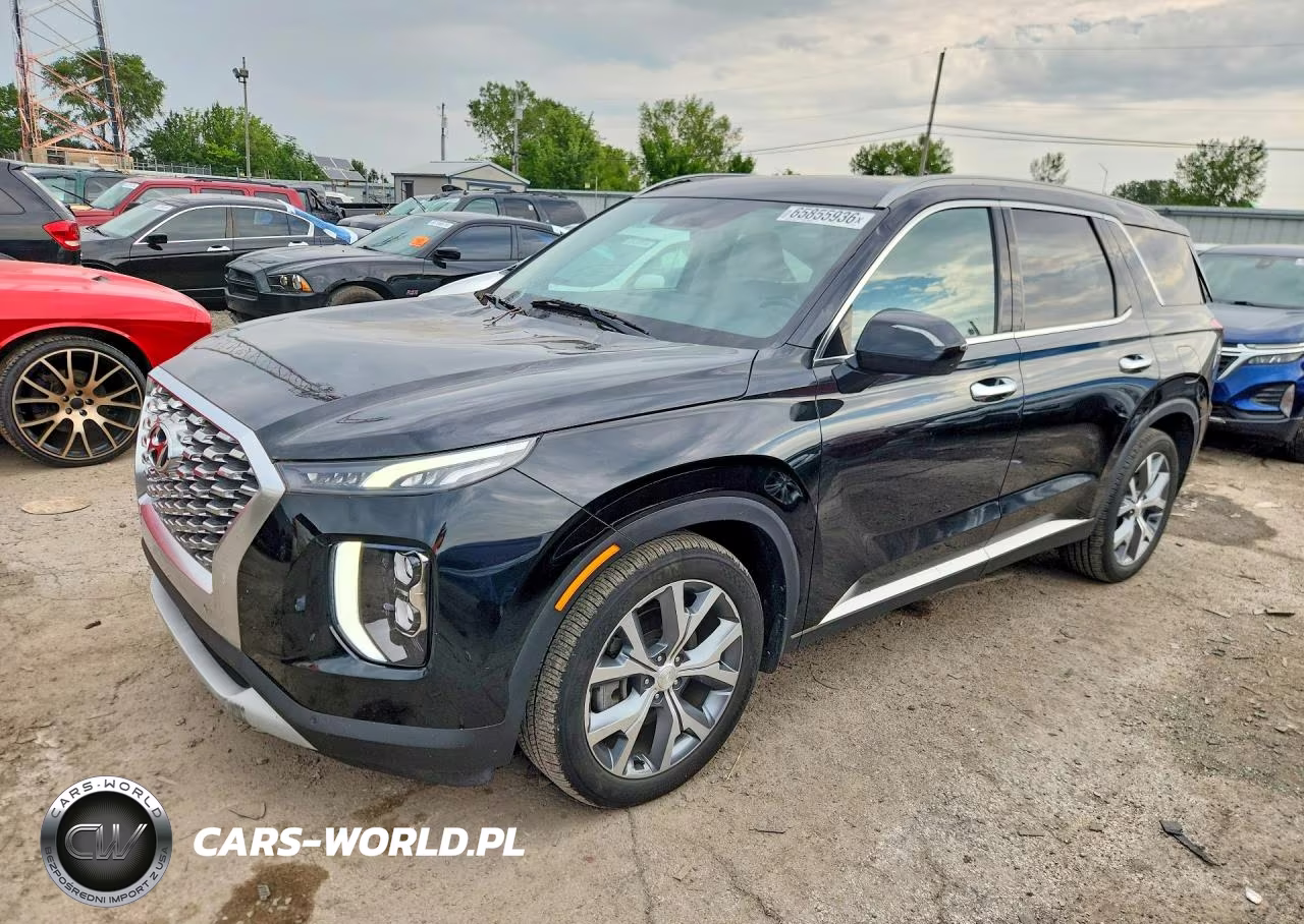 2020 Hyundai Palisade Sel VIN:KM8R4DHE8LU065089 - 1