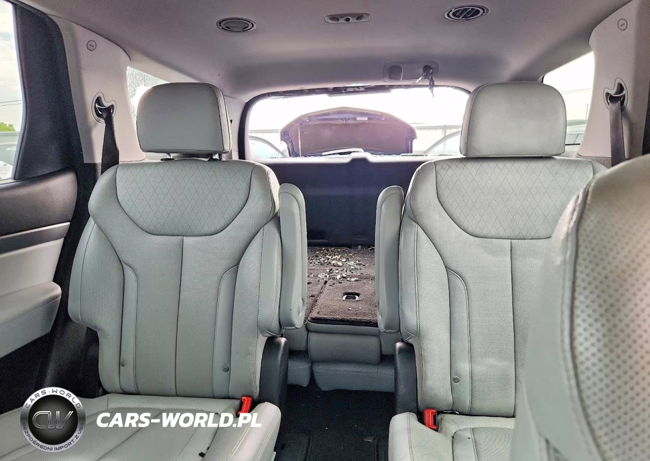 2020 Hyundai Palisade Sel VIN:KM8R4DHE8LU065089 - 10