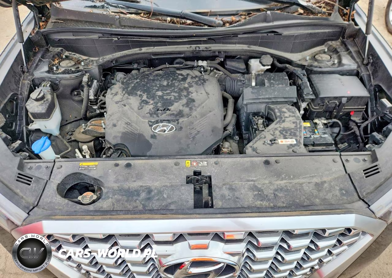 2020 Hyundai Palisade Sel VIN:KM8R4DHE8LU065089 - 12