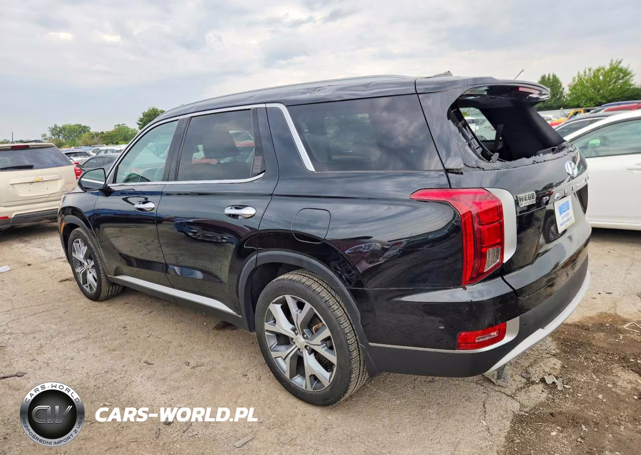 2020 Hyundai Palisade Sel VIN:KM8R4DHE8LU065089 - 2
