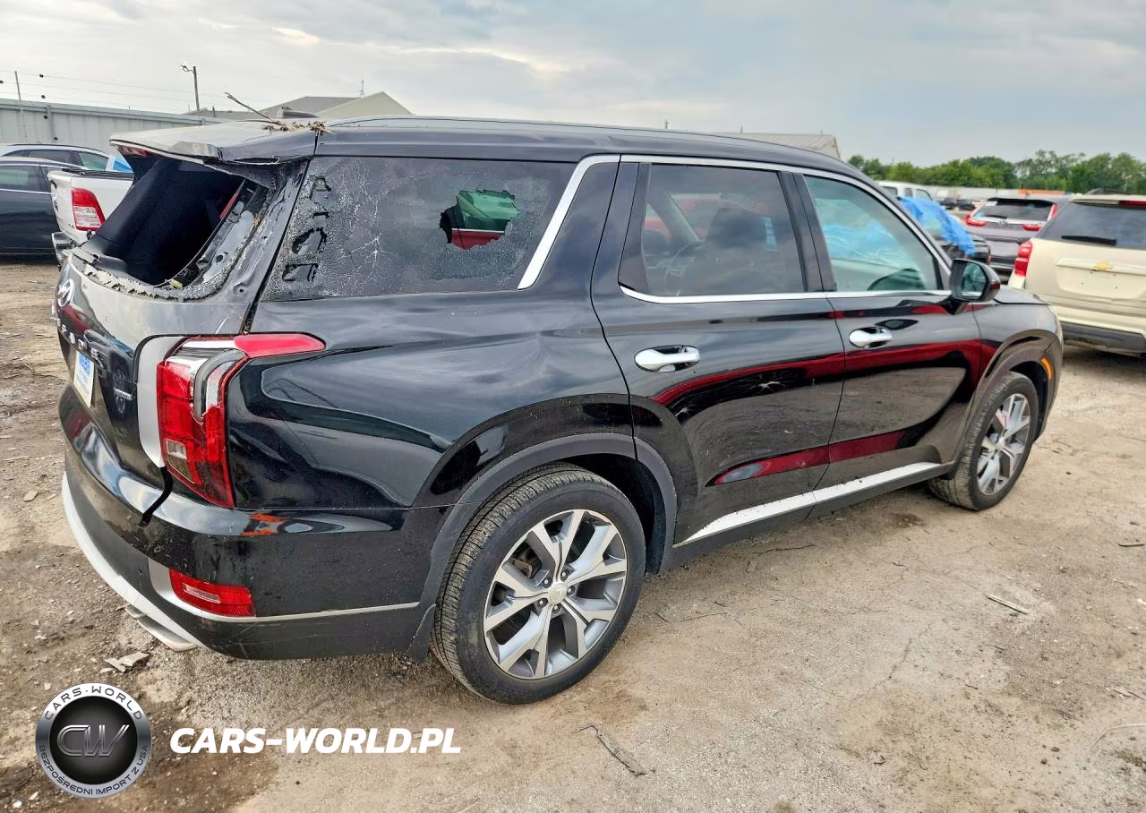 2020 Hyundai Palisade Sel VIN:KM8R4DHE8LU065089 - 3