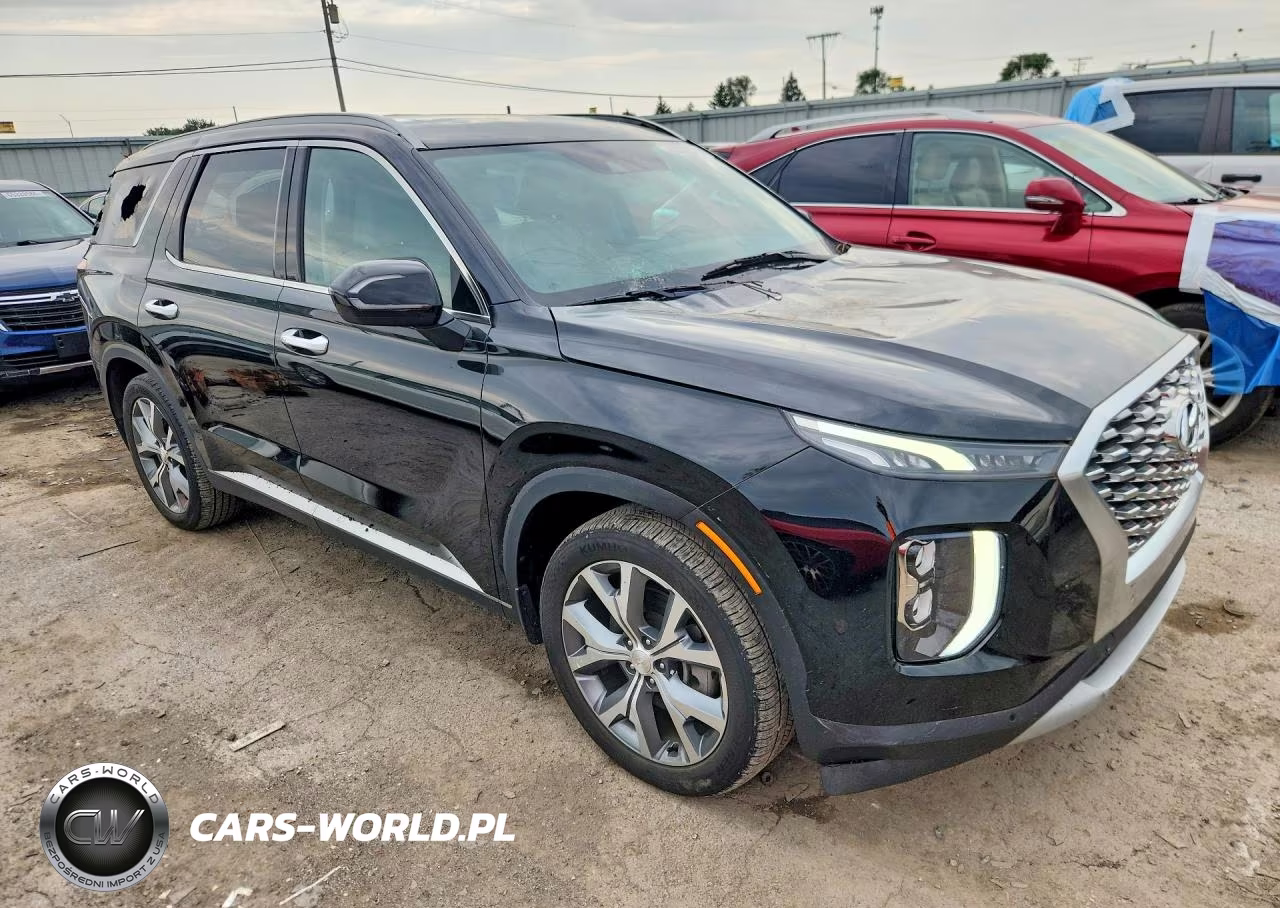 2020 Hyundai Palisade Sel VIN:KM8R4DHE8LU065089 - 4