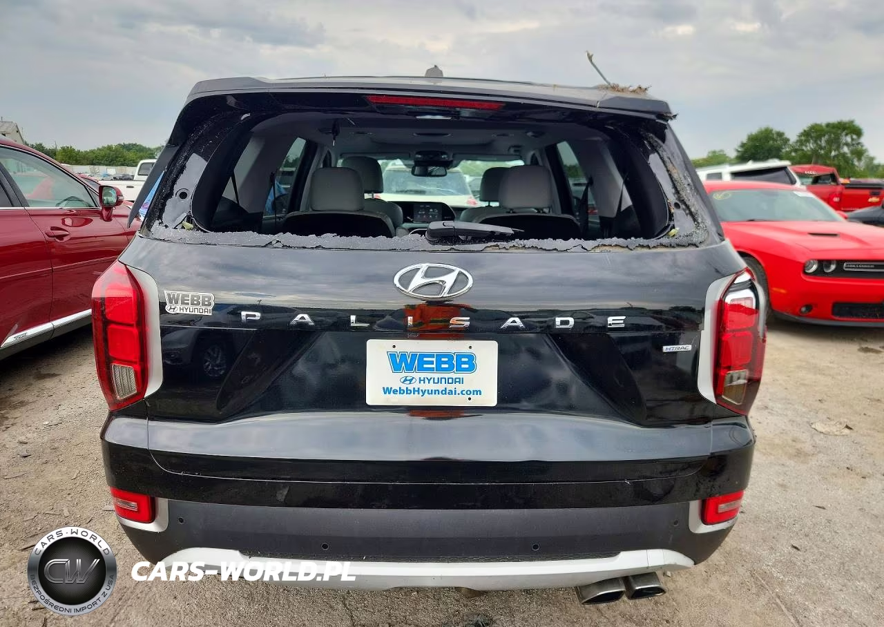 2020 Hyundai Palisade Sel VIN:KM8R4DHE8LU065089 - 6