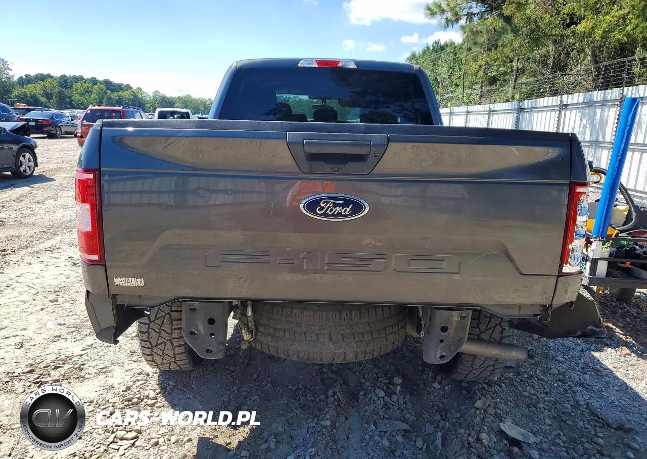 2020 Ford F150 Supercrew VIN:1FTFW1E55LFA91867 - 6