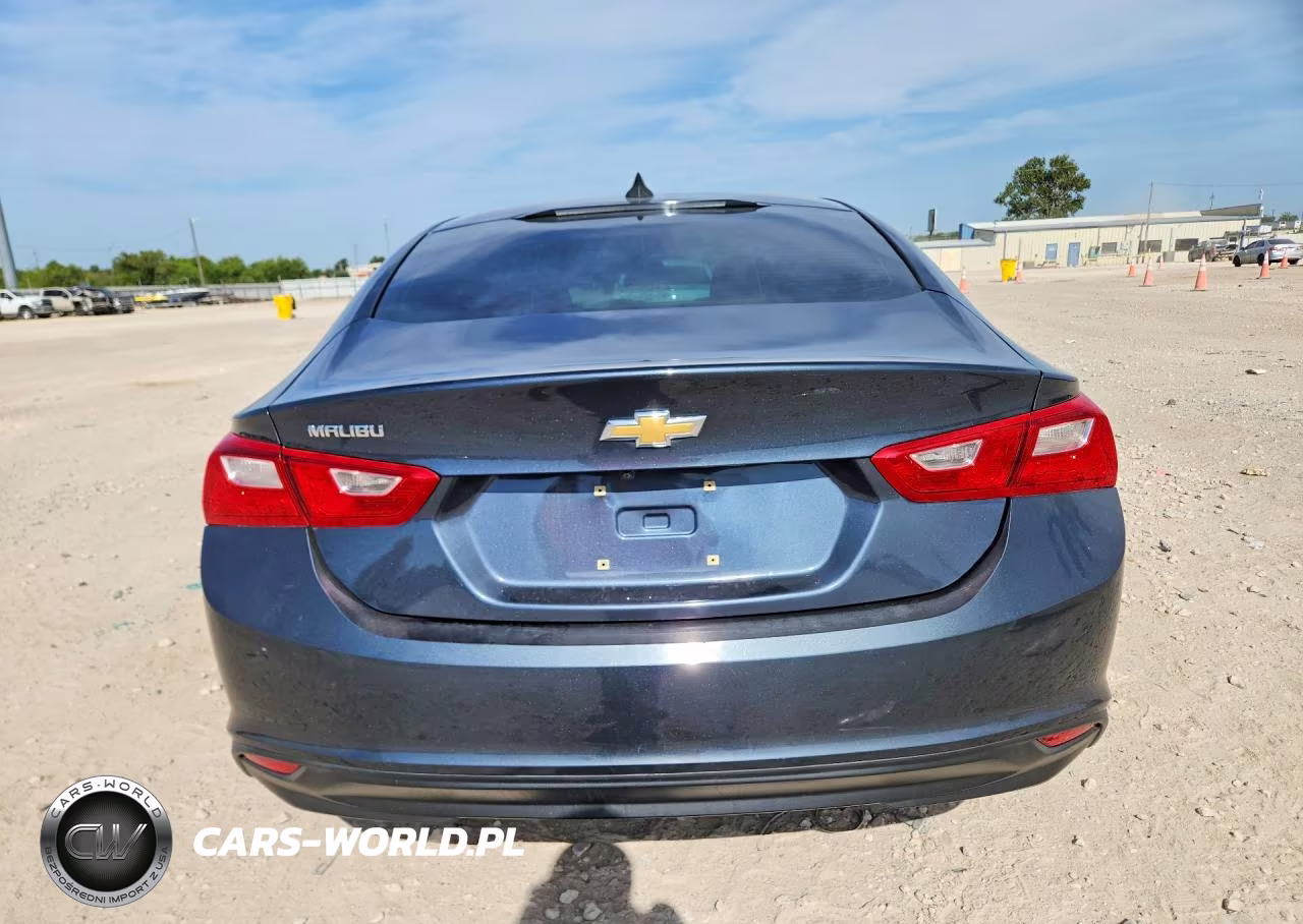 2020 Chevrolet Malibu Ls VIN:1G1ZB5ST9LF076008 - 6