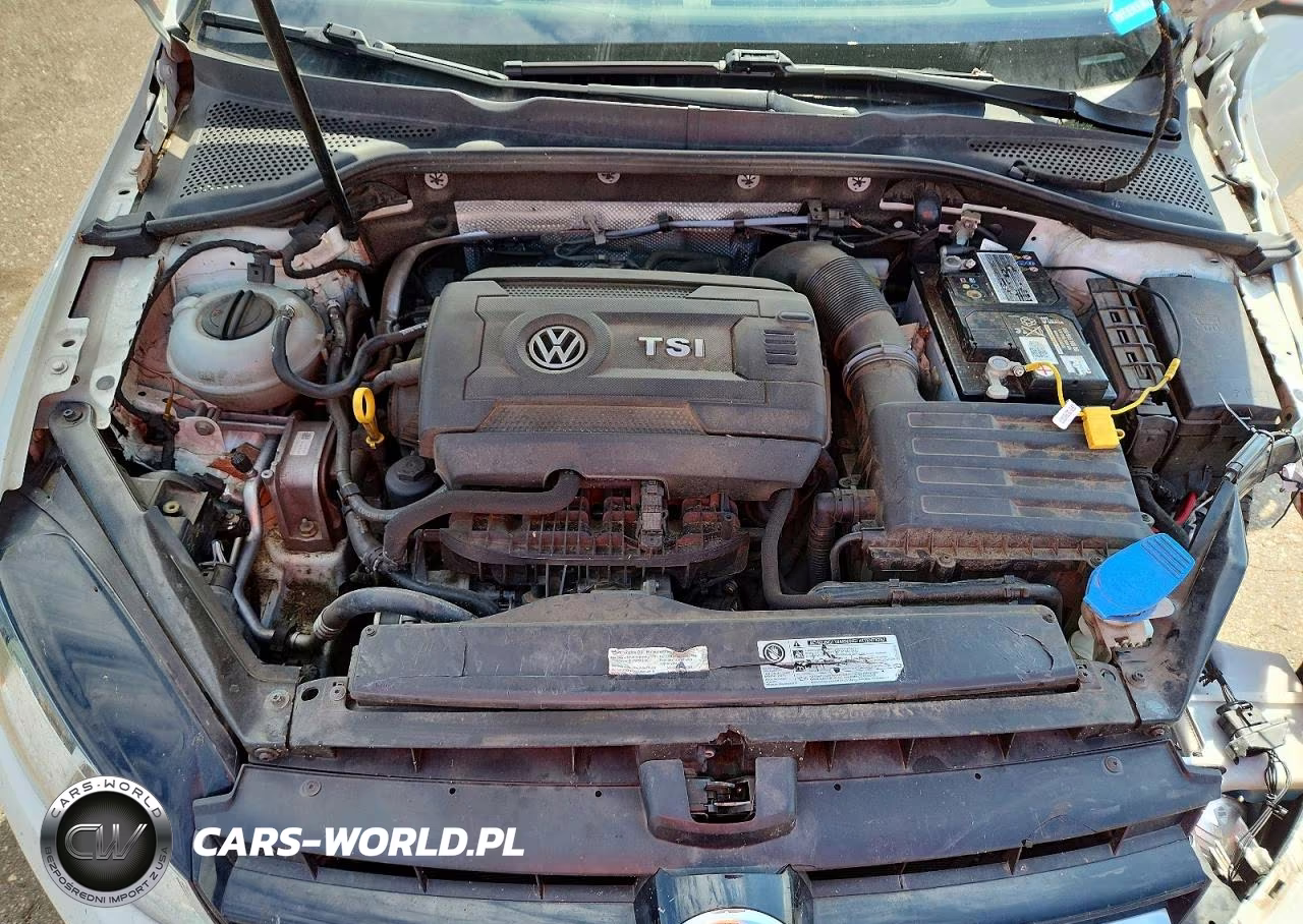 2017 Volkswagen Golf Sportwagen S VIN:3VWA17AU8HM511019 - 11