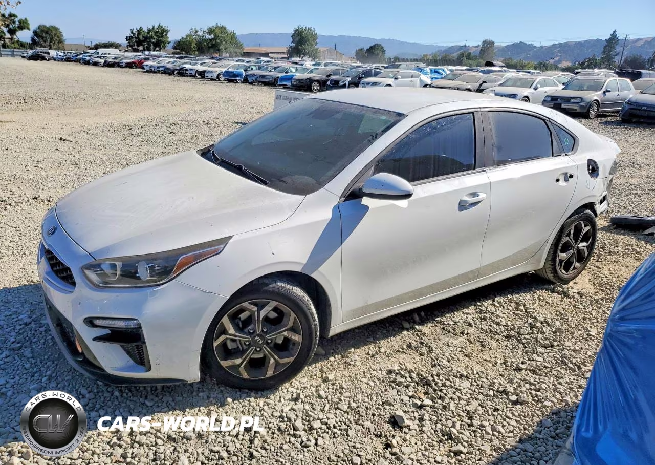 2019 Kia Forte Lxs