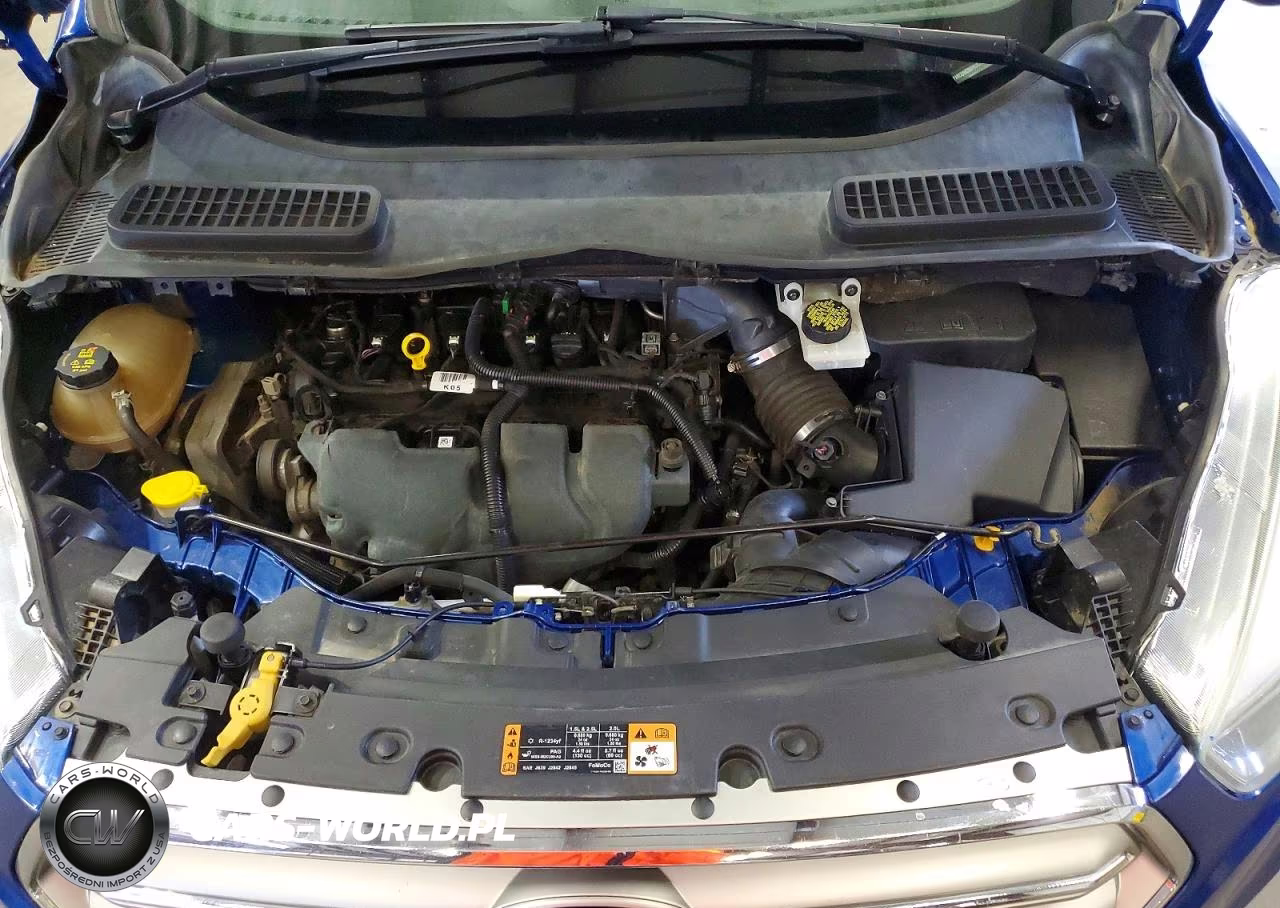2017 Ford Escape Se VIN:1FMCU9G96HUB73421 - 12