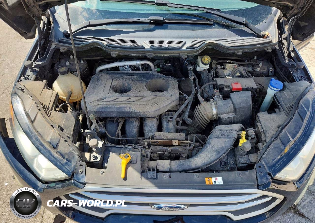 2018 Ford Ecosport Se VIN:MAJ6P1UL4JC203656 - 11