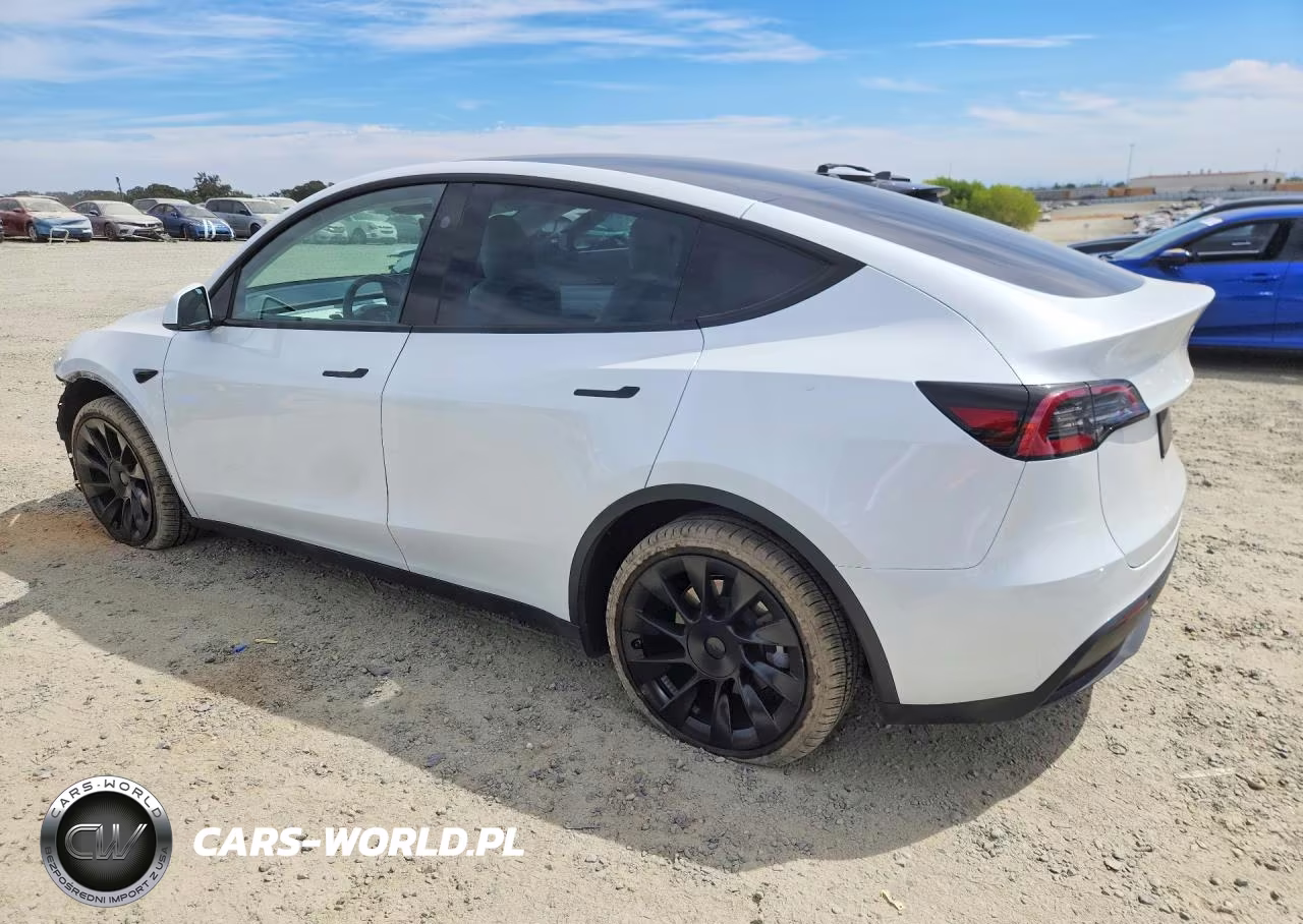 2023 Tesla Model Y VIN:7SAYGDEE0PF839980 - 2
