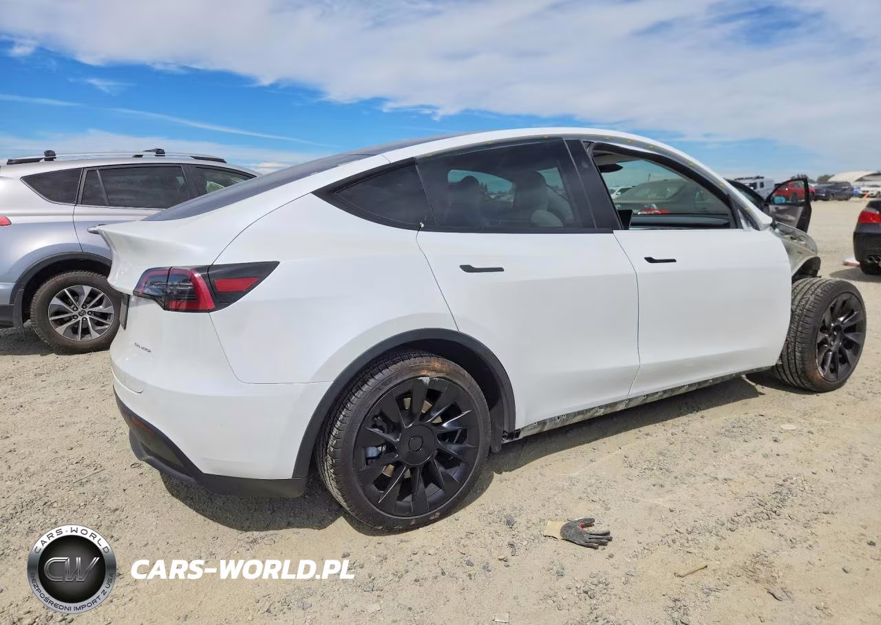 2023 Tesla Model Y VIN:7SAYGDEE0PF839980 - 3