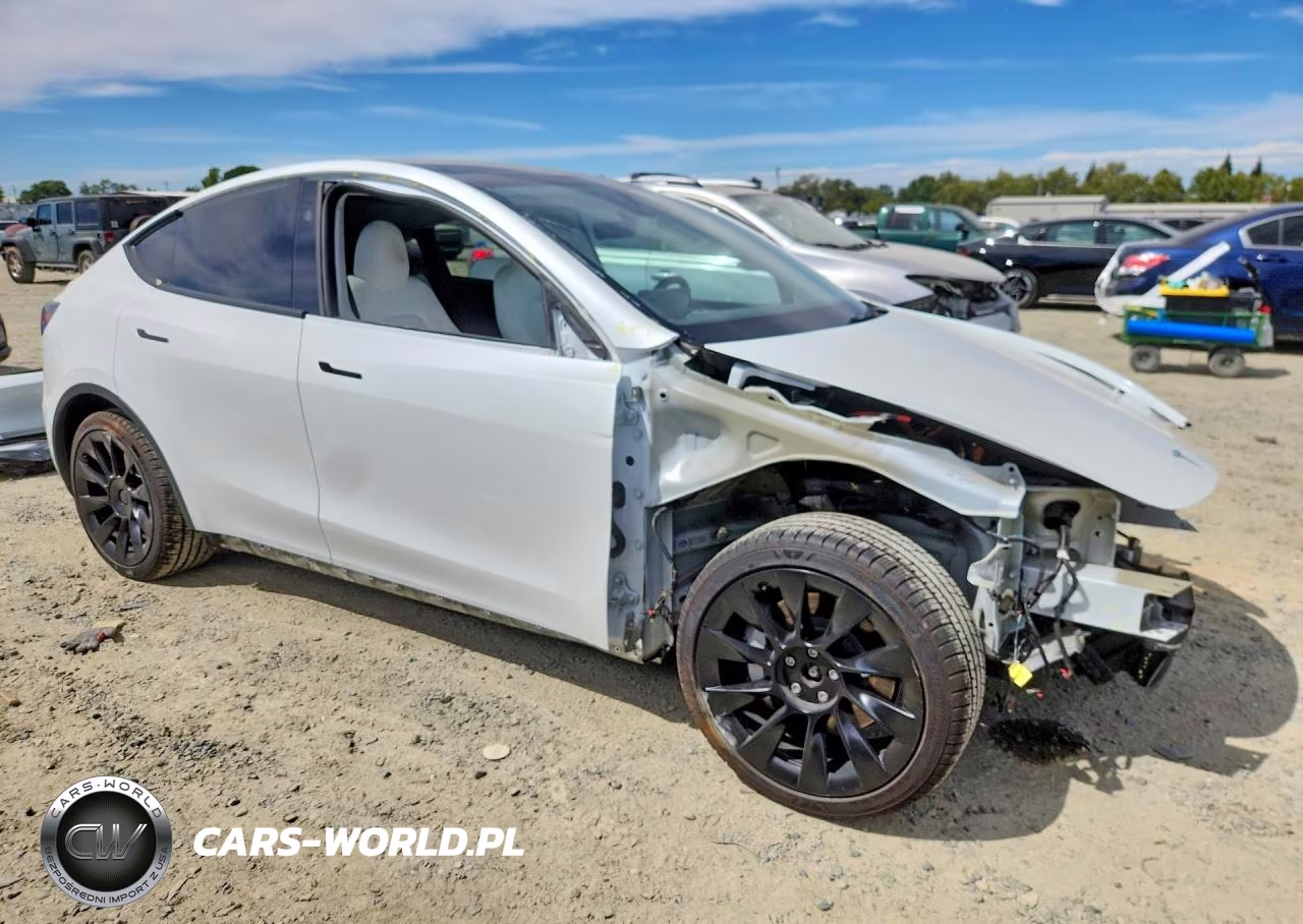 2023 Tesla Model Y VIN:7SAYGDEE0PF839980 - 4