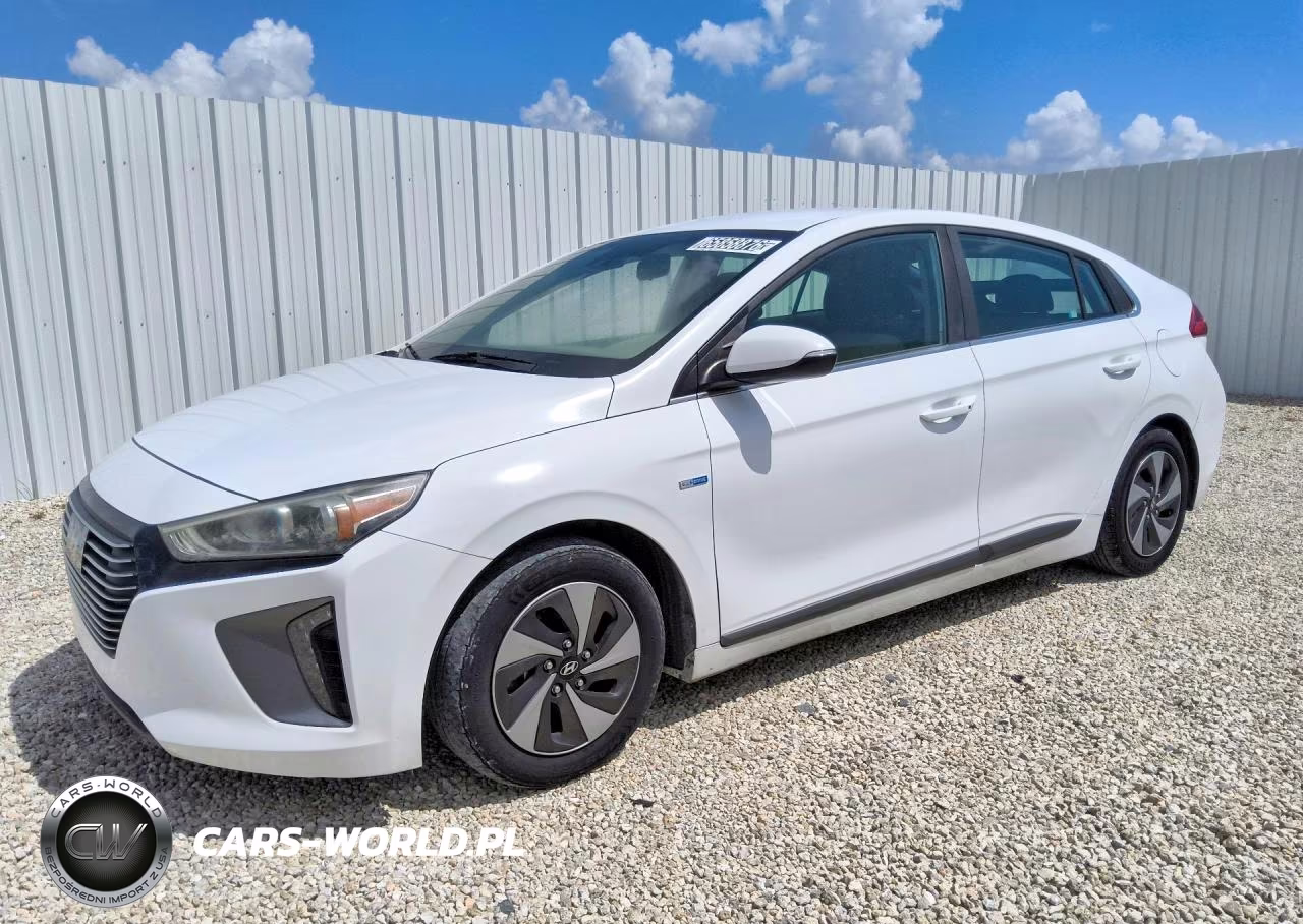 2019 Hyundai Ioniq Sel – zdjęcie 1 z 13