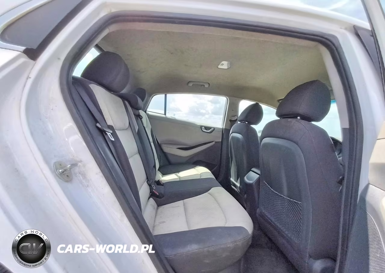 2019 Hyundai Ioniq Sel VIN:KMHC75LC6KU117746 - 10