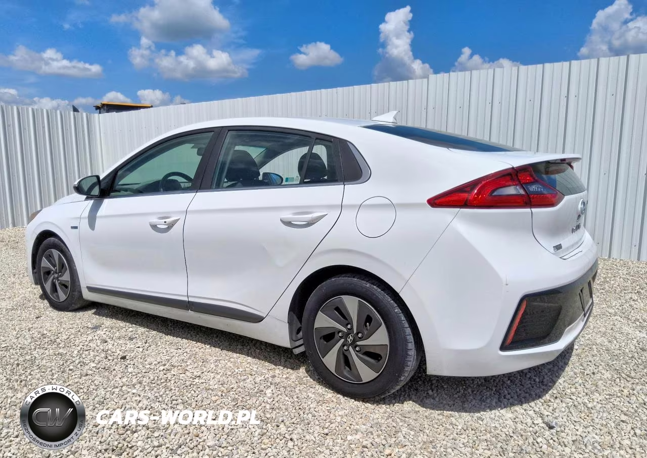2019 Hyundai Ioniq Sel VIN:KMHC75LC6KU117746 - 2