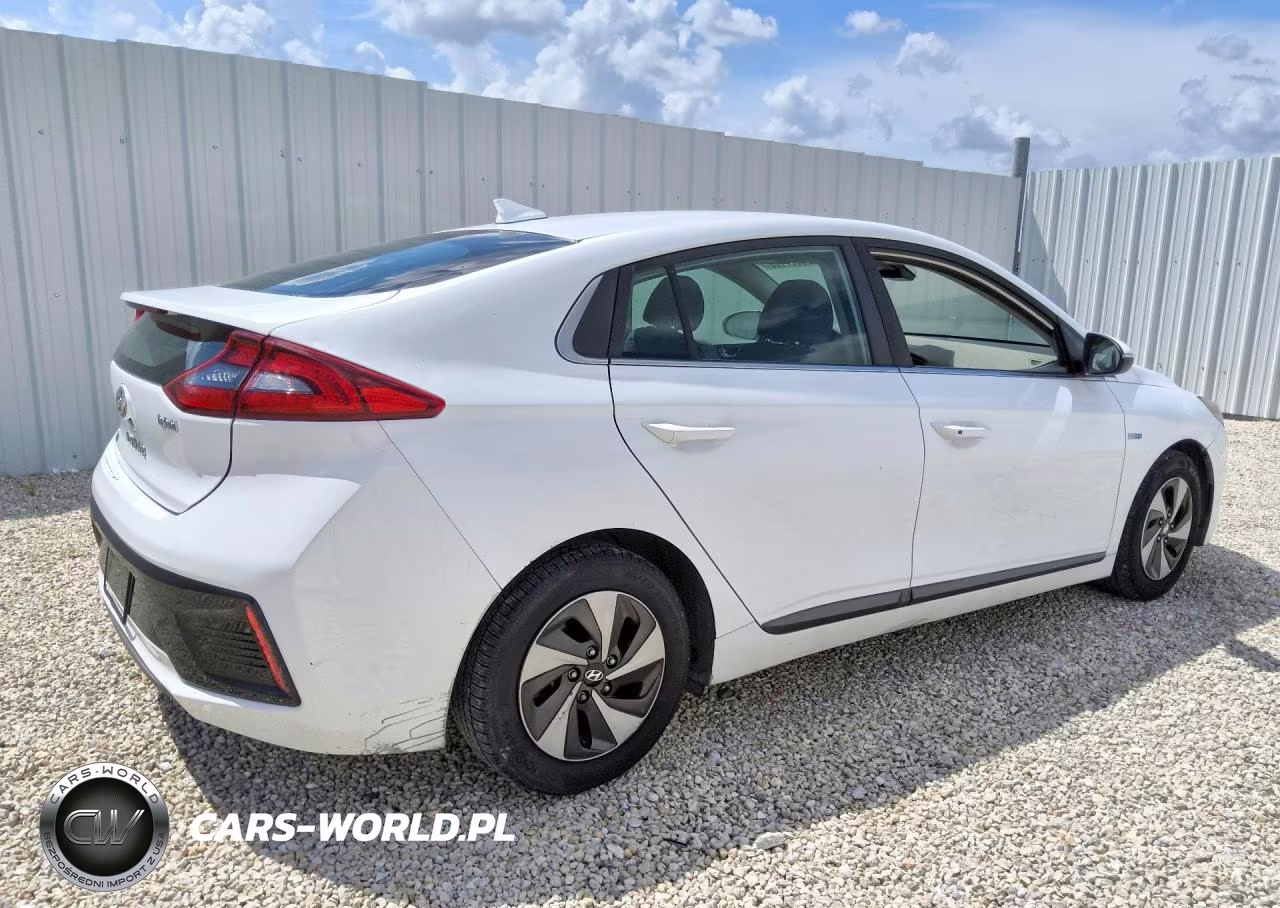 2019 Hyundai Ioniq Sel VIN:KMHC75LC6KU117746 - 3