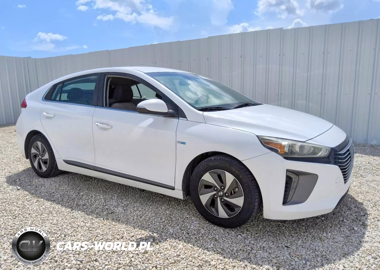 2019 Hyundai Ioniq Sel VIN:KMHC75LC6KU117746 - 4