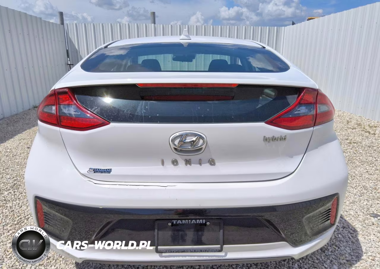 2019 Hyundai Ioniq Sel VIN:KMHC75LC6KU117746 - 6