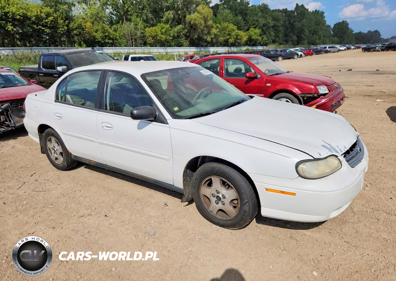 2005 Chevrolet Classic VIN:1G1ND52F15M106751 - 4
