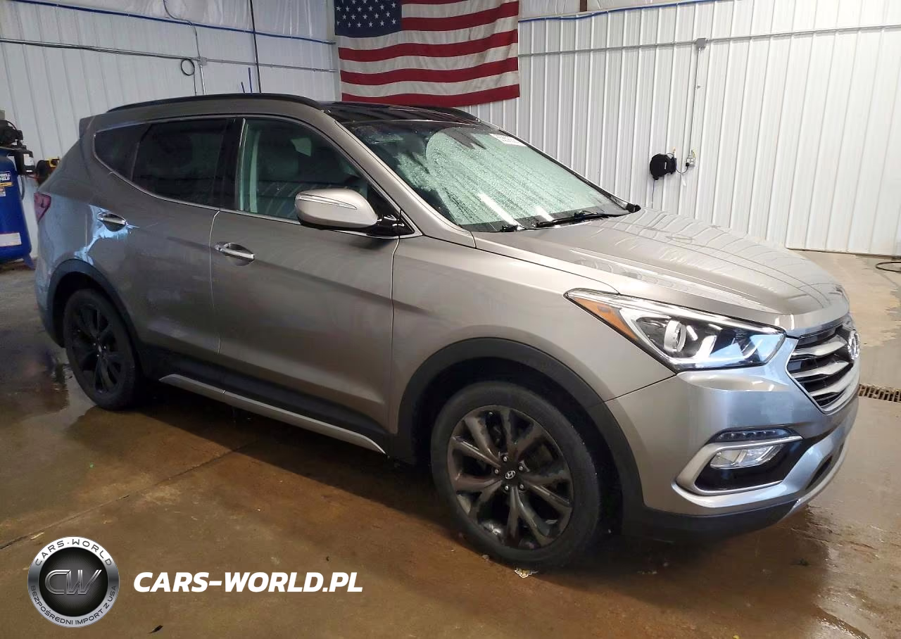 2017 Hyundai Santa Fe Sport 2.0T Ultimate VIN:5XYZWDLA3HG485922 - 4
