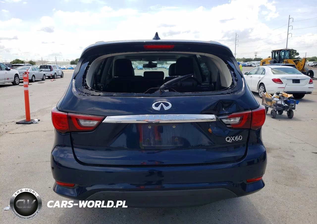 2020 Infiniti Qx60 Pure VIN:5N1DL0MN6LC514609 - 6