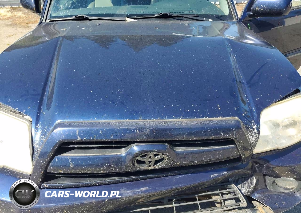2006 Toyota 4Runner Limited VIN:JTEBU17R460079734 - 12
