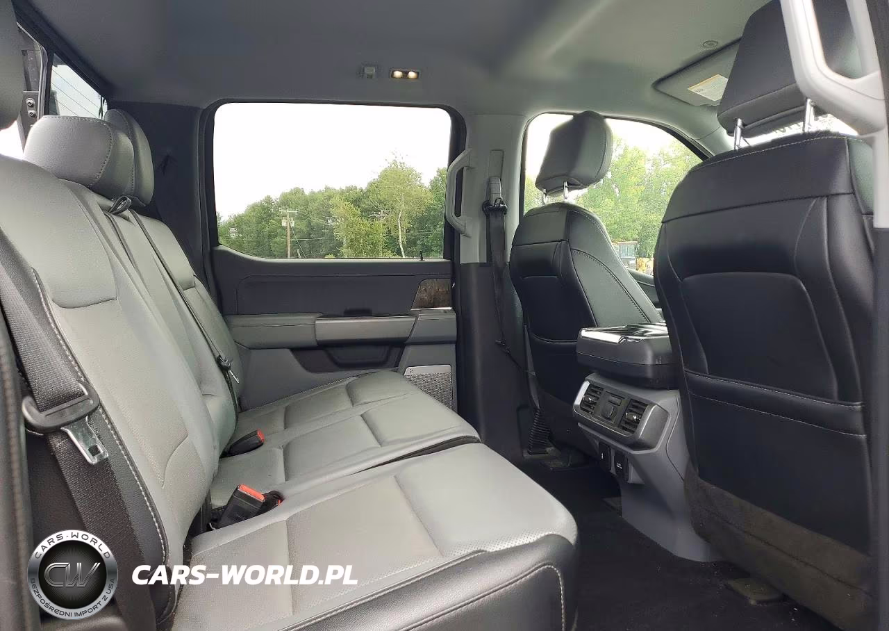 2023 Ford F150 Supercrew VIN:1FTFW1E8XPFB60391 - 10