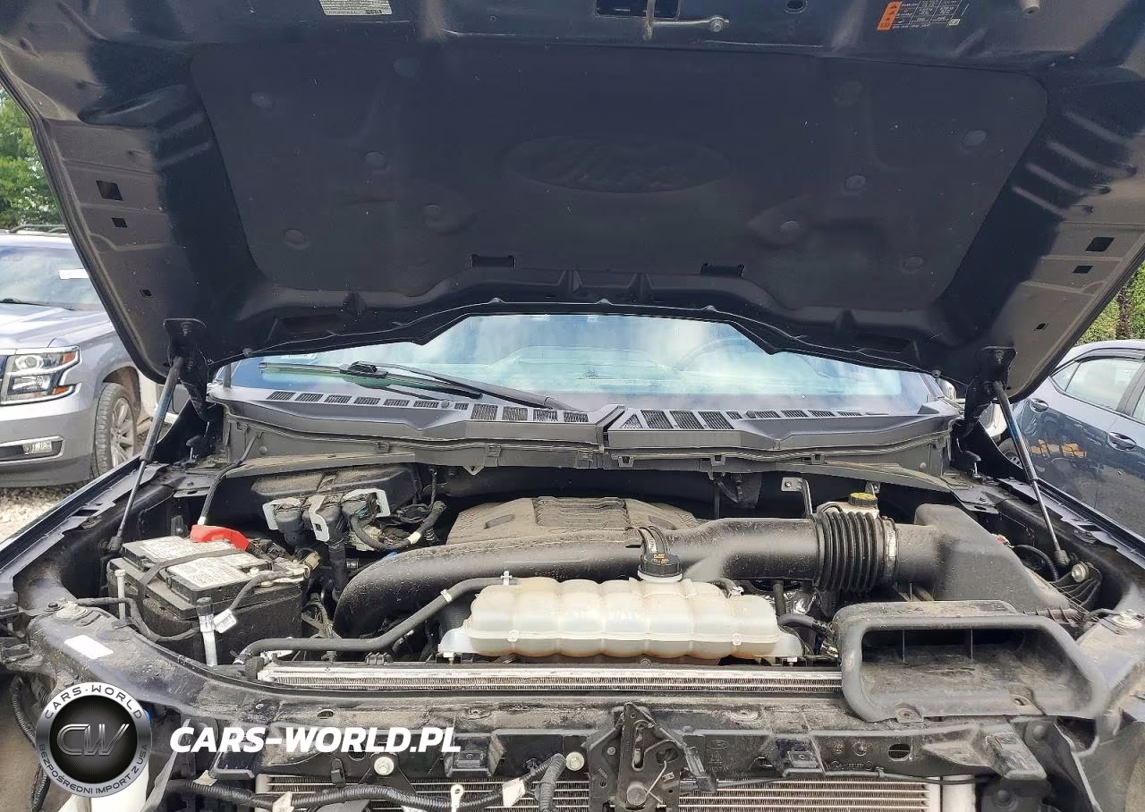2023 Ford F150 Supercrew VIN:1FTFW1E8XPFB60391 - 11