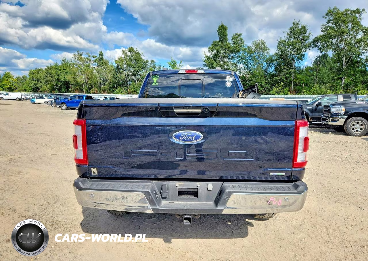 2023 Ford F150 Supercrew VIN:1FTFW1E8XPFB60391 - 6