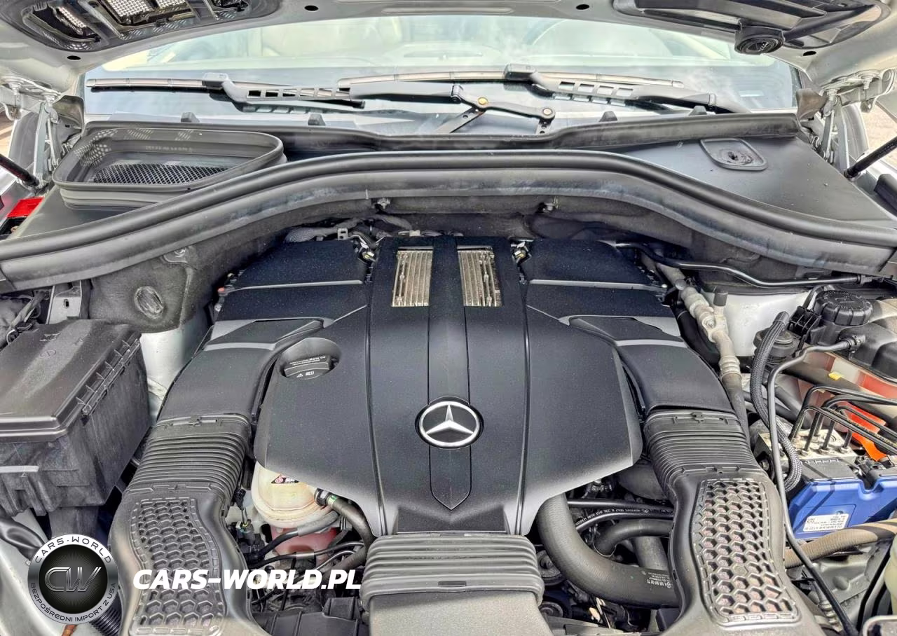 2015 Mercedes-Benz Gl 450 4Matic VIN:4JGDF6EE5FA497469 - 12