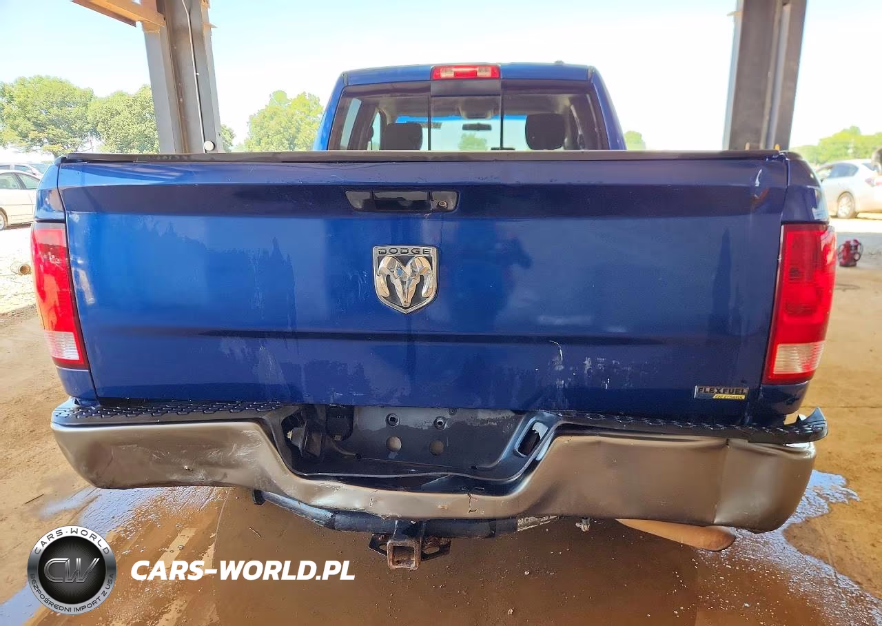 2010 Dodge Ram 1500 VIN:1D7RB1GP5AS204170 - 6