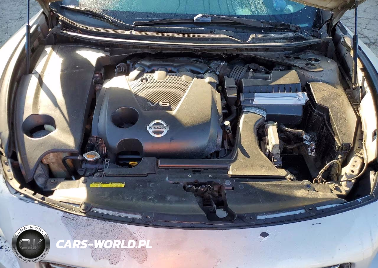 2009 Nissan Maxima 3.5 S VIN:1N4AA51E89C834124 - 11